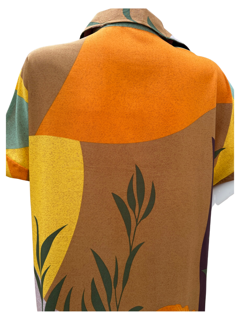 Collared Fern Design