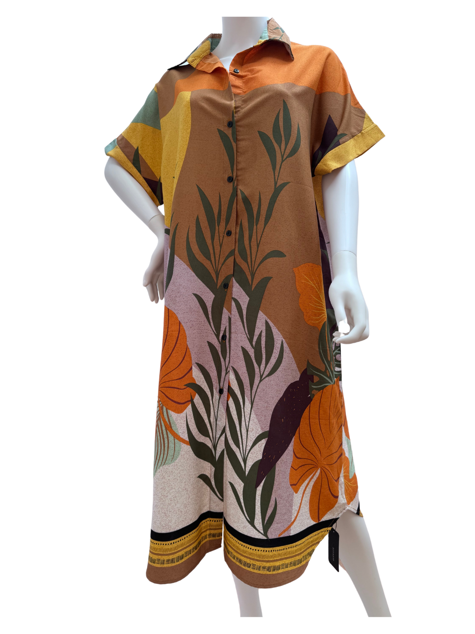 Collared Fern Design