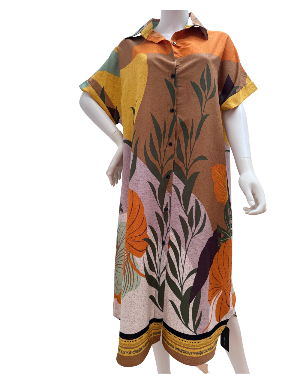 Collared Fern Design