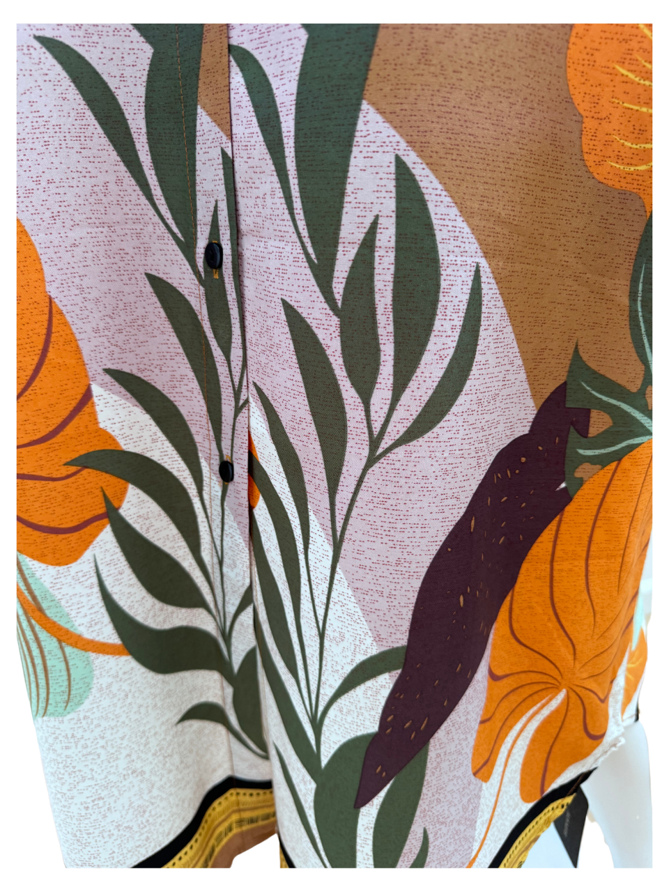 Collared Fern Design