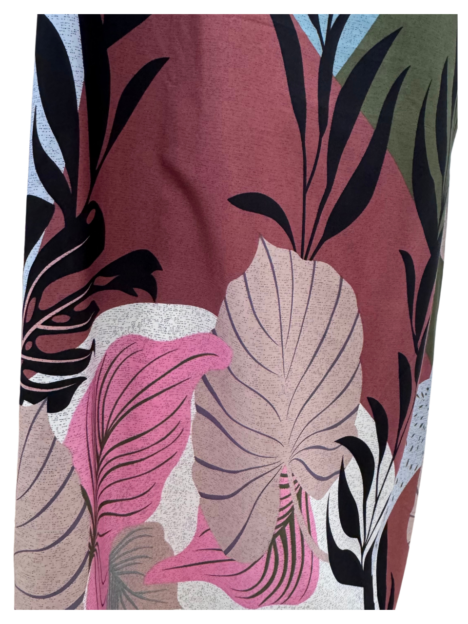Collared Fern Design