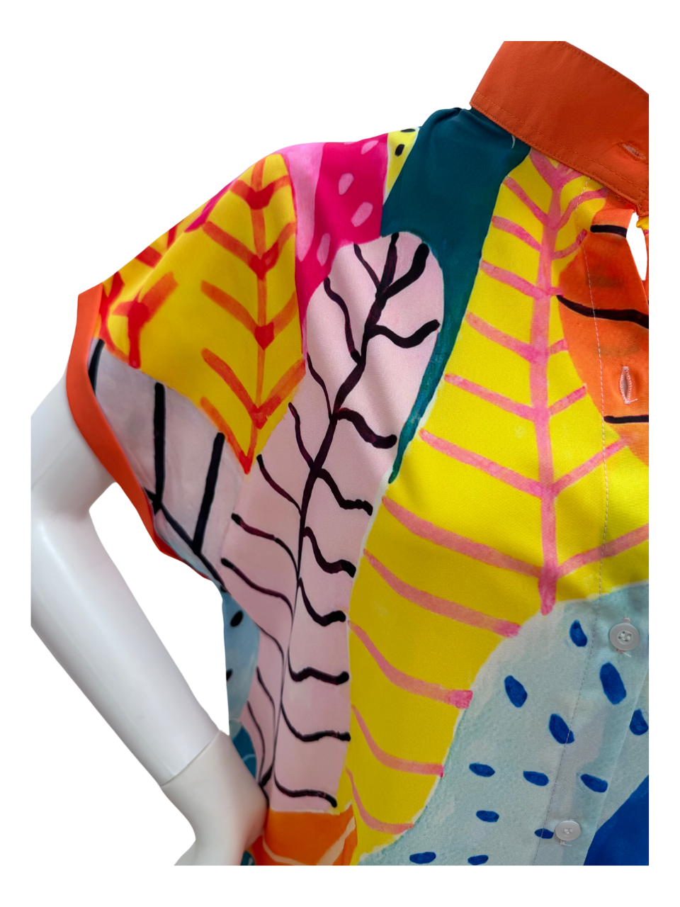 Collared Fern Design